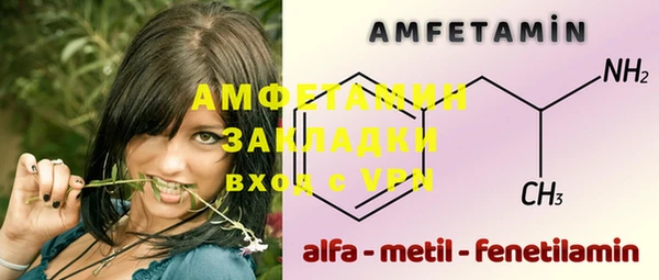 мет Алексин