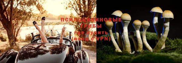 амф Алексеевка
