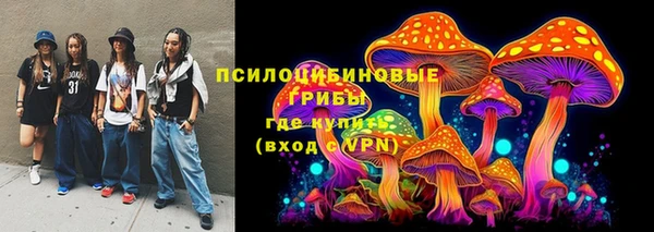 мет Алексин