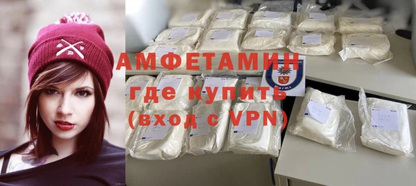 мет Алексин