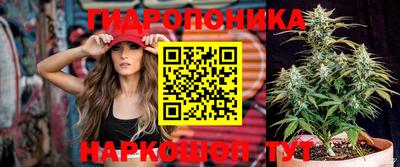 прущие грибы Усть-Джегута