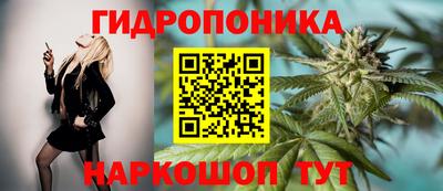 прущие грибы Туймазы