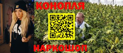 прущие грибы Туймазы