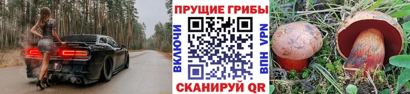 Галлюциногенные грибы ЛСД  Троицк 