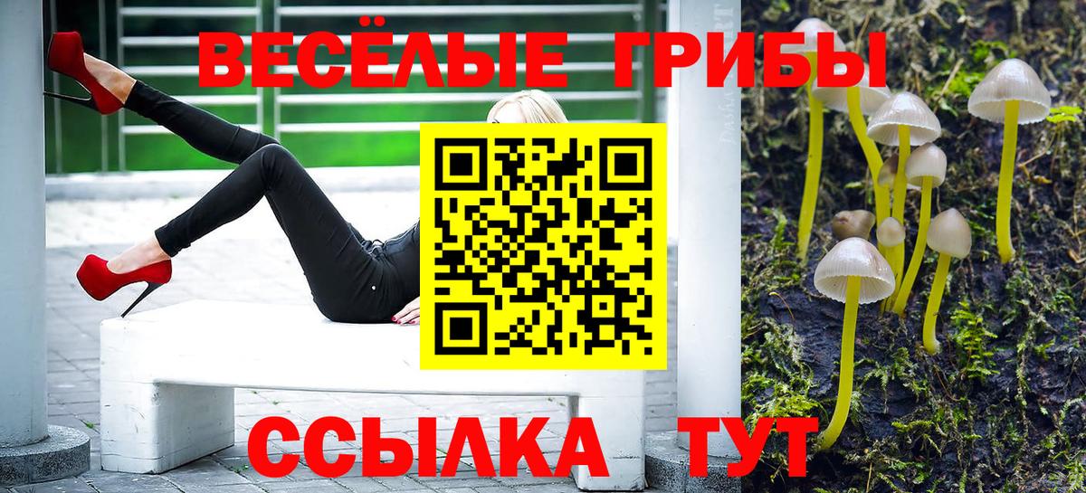 купить наркотик  Галлюциногенные грибы ЛСД  Вход с VPN  Троицк 