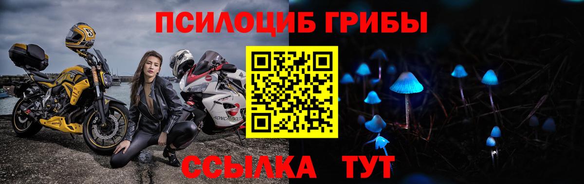 Псилоцибиновые грибы MAGIC MUSHROOMS Троицк